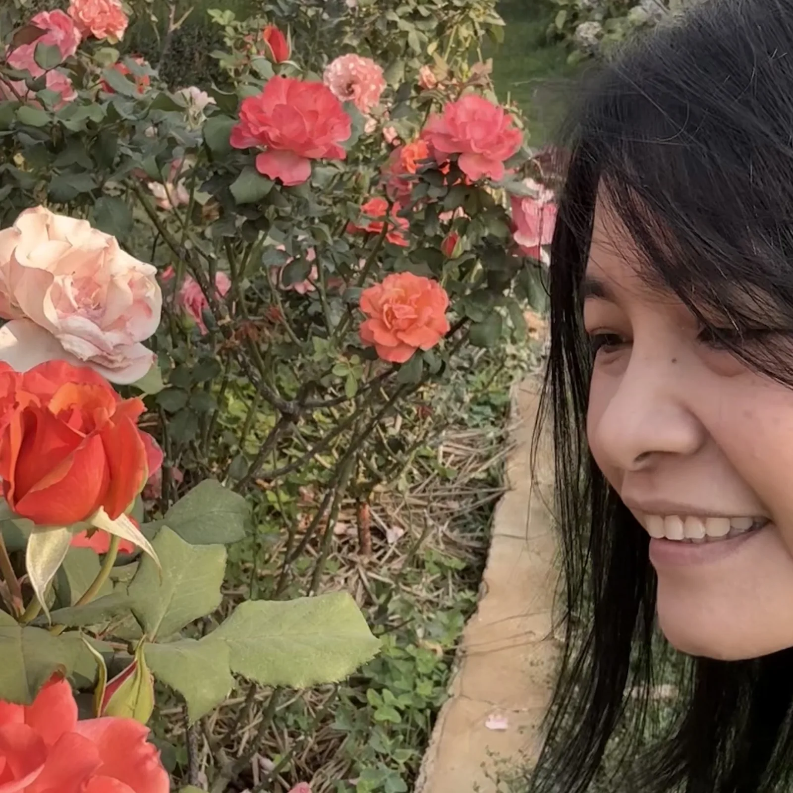 Cho cho Aung - 1