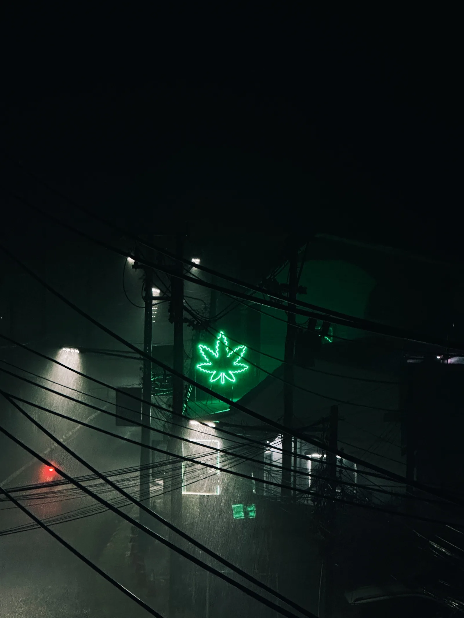 Eddy - 8
