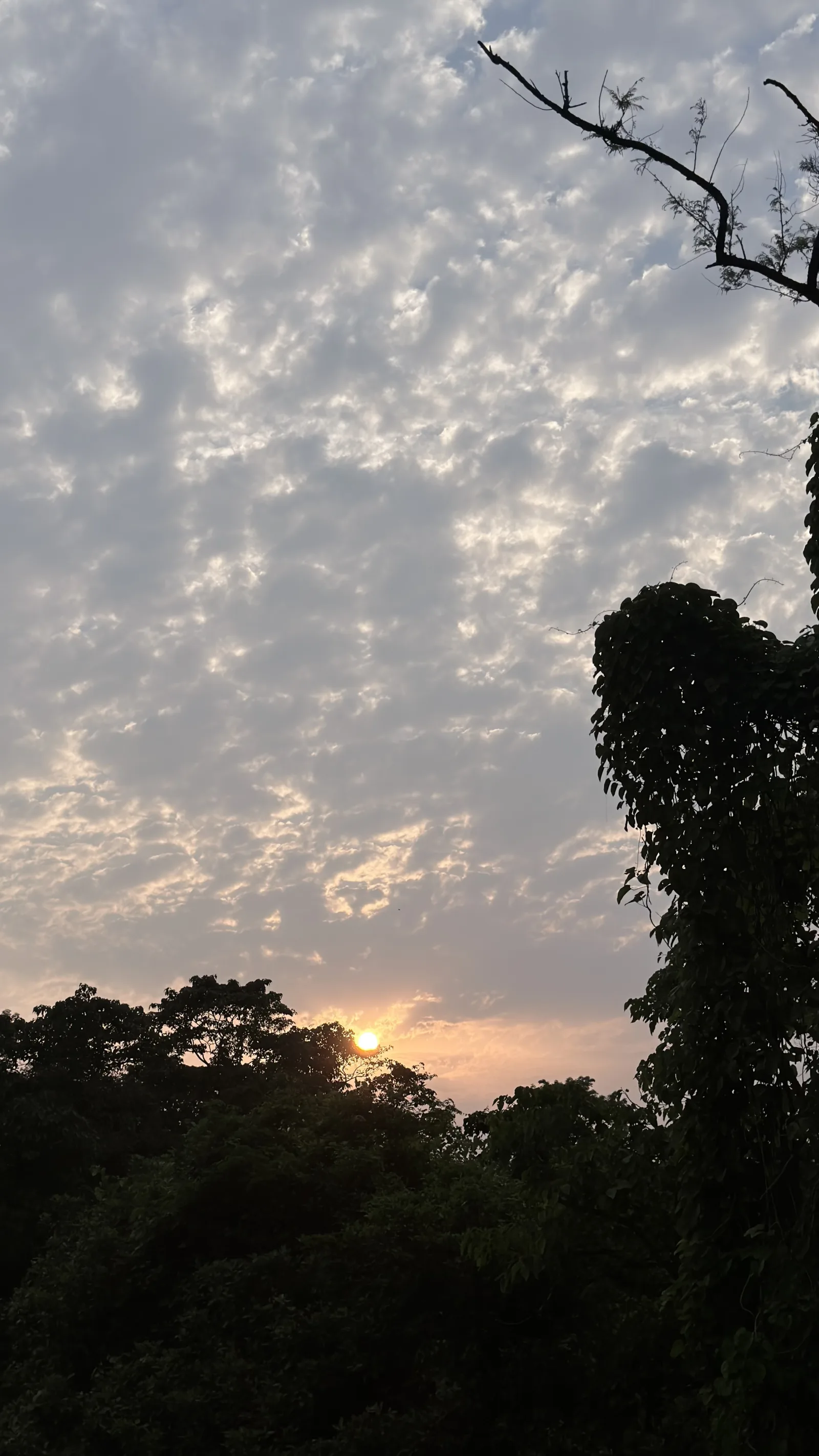Bibek Bhujel - 4