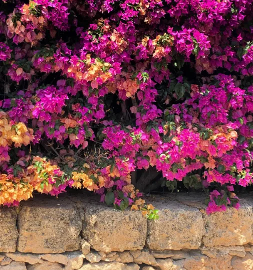 Anto in Puglia - 4