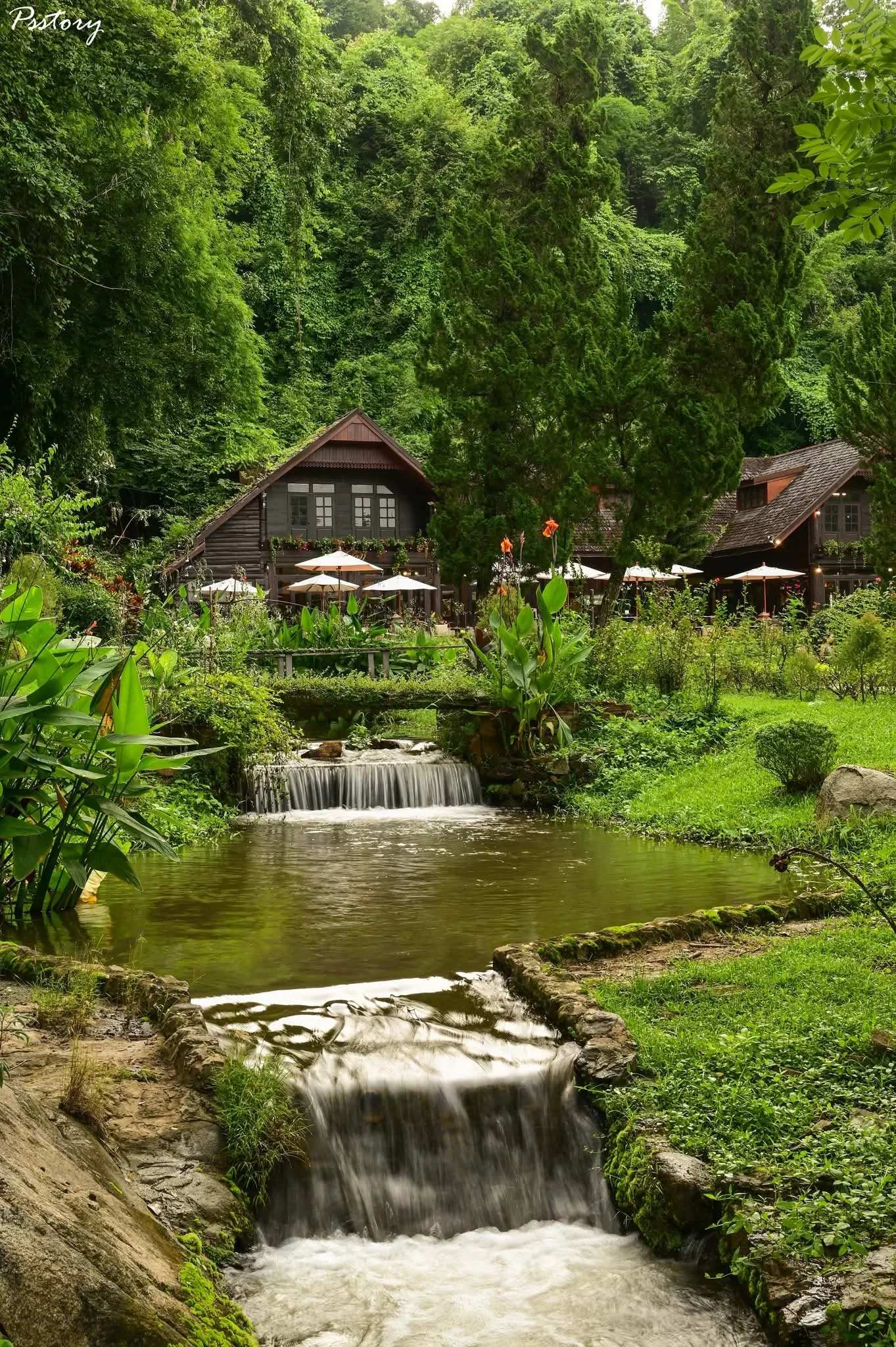 Ashraful Alam - 4